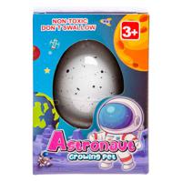 LG-Imports Groeiend ei astronaut - thumbnail