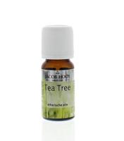 Jacob Hooy Essentiële Olie Tea Tree - thumbnail