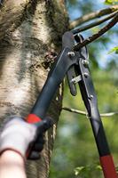 Meister Takkenschaar Klein Met Ratel - WU9718000 - thumbnail