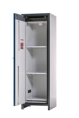 Asecos Brandkast safestore-core