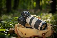 Canon EF 100-400mm F/4.5-5.6 L IS USM II (draaizoom) + ET-83D zonnekap - thumbnail