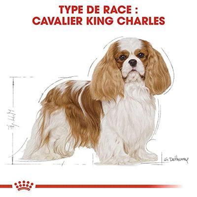 Royal Canin Cavalier King Charles Adult hondenvoer 7.5kg