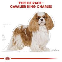 Royal Canin Adult Cavalier King Charles hondenvoer 3 x 7,5 kg - thumbnail