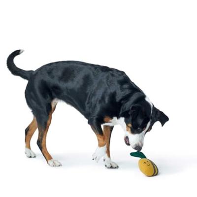 HUNTER Honden knuffel Florenz Hommel, geel/bruin