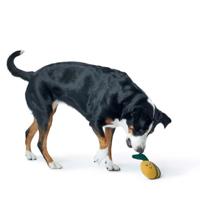 HUNTER Honden knuffel Florenz Hommel, geel/bruin - thumbnail