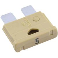 MTA Automotive 340024 Standaard platte zekering 5 A Beige 1 stuk(s) - thumbnail
