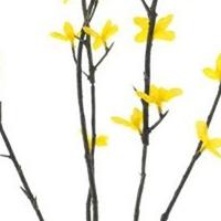 Forsythia spray Halle yellow 86 cm kunstbloem Erutan Avon - Erutan avon - thumbnail