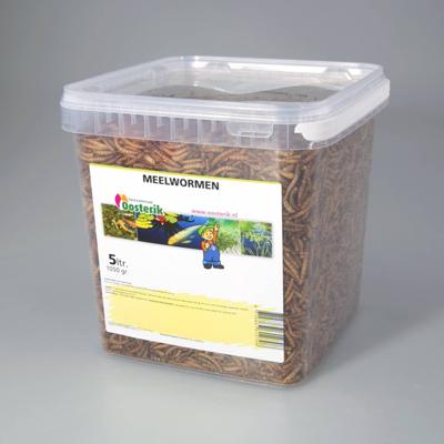 Meelwormen 5 liter voer Suren Collection - Suren collection