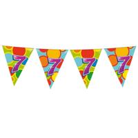 Haza Witbaard Vlaggenlijn 7 jaar, 10mtr. - thumbnail