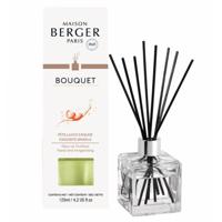 Lampe Berger Parfumverspreider met sticks Cube 125ml Pétillance Exquise - thumbnail