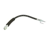 Remslang LH6896 - thumbnail