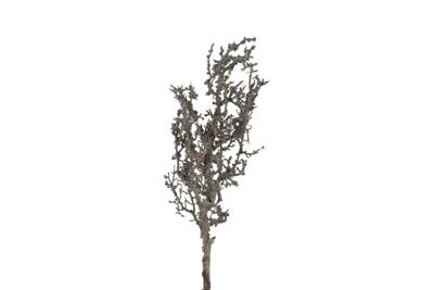 Kunsttak lichenes zwart Countryfield - Countryfield