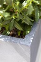 Pottery Pots Naturel Block 40x40x40 cm grijs vierkante plantenbak - thumbnail