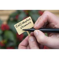 Plaatetiketten met tuinstift - thumbnail