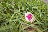 BS Toys perfect paar memospel - thumbnail