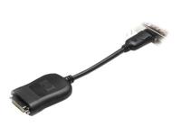 DVI-adapter - DisplayPort (M) naar DVI-D (V) - zwart - voor Quadro FX 3800 - thumbnail