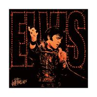 Kunstdruk Elvis Presley - 68 40x40cm - thumbnail