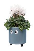 Bloempot met ogen - Blauw - thumbnail