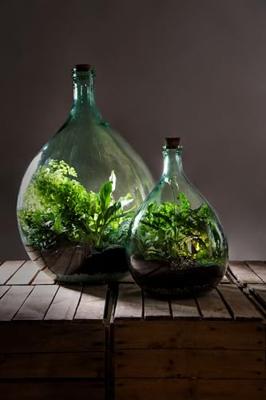 Esschert Design plant terrarium potgrond