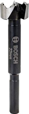 Bosch Accessoires Machinehoutboor Toothed-Edge 22X90 - 2608577007