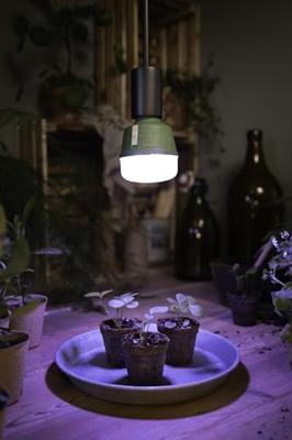 OSRAM HOMELIGHTING 4058075845800 Plantenlamp-lamp E27 20 W 1 stuk(s)