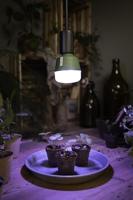 OSRAM HOMELIGHTING 4058075845800 Plantenlamp-lamp E27 20 W 1 stuk(s) - thumbnail