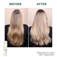Klorane Shampooing sec extra doux au Lait d'Avoine 50ml - thumbnail