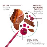 Klorane Sérum Antichute à la Quinine 100ml - thumbnail