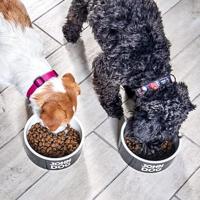 JOHN DOG Good Form Medium and large breeds Pork with beef - droog hondenvoer - 3kg - thumbnail