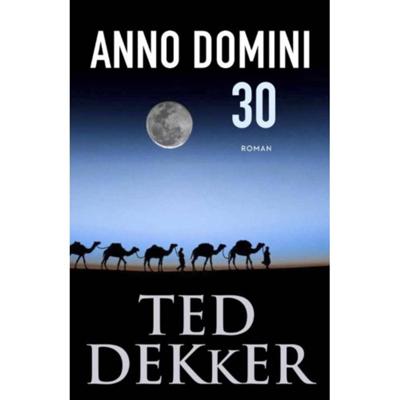 Anno Domini 30 (Paperback)