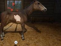 My Life - Farm Vet - thumbnail