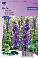 Salvia Farinacea zaden Blue Plus meelsalie - thumbnail