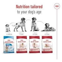 Royal Canin Medium Adult hondenvoer 4kg - thumbnail