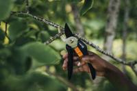 Fiskars 1057160 Solid™ P121 Tuinschaar 192 mm - thumbnail
