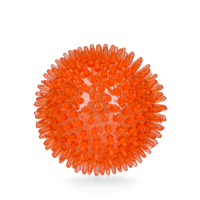 Oranje Egelbal M - thumbnail