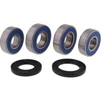 ALL BALLS Racing wiellagerset wheel bearing sets 25-125 complete with simmerrings - thumbnail