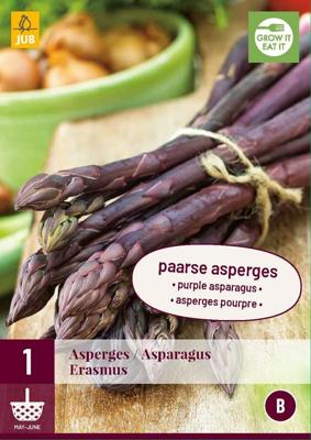 Asparagus erasmus bloembol 1 stuk Asperge JUB - Jub