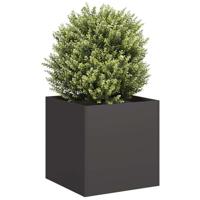 VidaXL Plantenbak 40x40x40 cm koudgewalst staal zwart - thumbnail