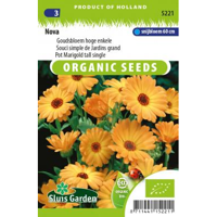 Calendula Officinalis zaden Nova Goudsbloem BIO - thumbnail
