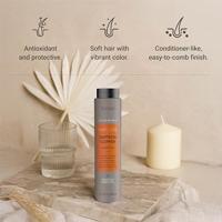 Lakmé Teknia Color Refresh Copper Shampoo Refresh 300ml - thumbnail