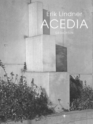 Acedia - Erik Lindner - ebook