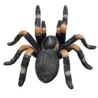 Mojo wildlife rode tarantula 387213 - thumbnail