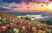 Alexsar Art Tuindoek bloemenweide 210x140cm - thumbnail