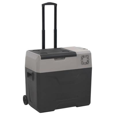 VidaXL Koelbox met wielen en handvat 40 l polypropeen zwart en grijs