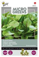 Zaden Microgreens Bloedzuring Buzzy - Buzzy - thumbnail