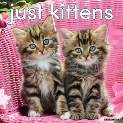 Kittens Kalender 2026 Kittens Kalender 2026