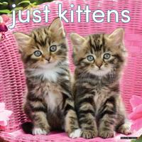 Kittens Kalender 2026 - thumbnail