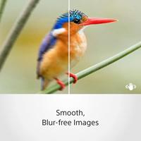 Sony E 35mm F/1.8 OSS - thumbnail