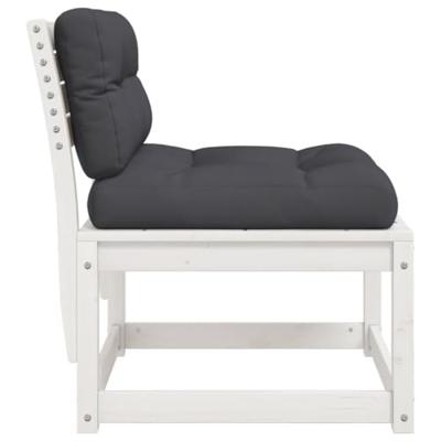 Tuinbanken met kussens 2 st massief grenenhout wit Tuinbanken met kussens 2 st massief grenenhout wit