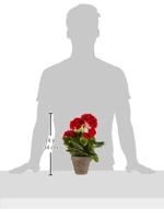 Decoratieve plant Mica Decorations PVC 11,5 x 33 cm - thumbnail